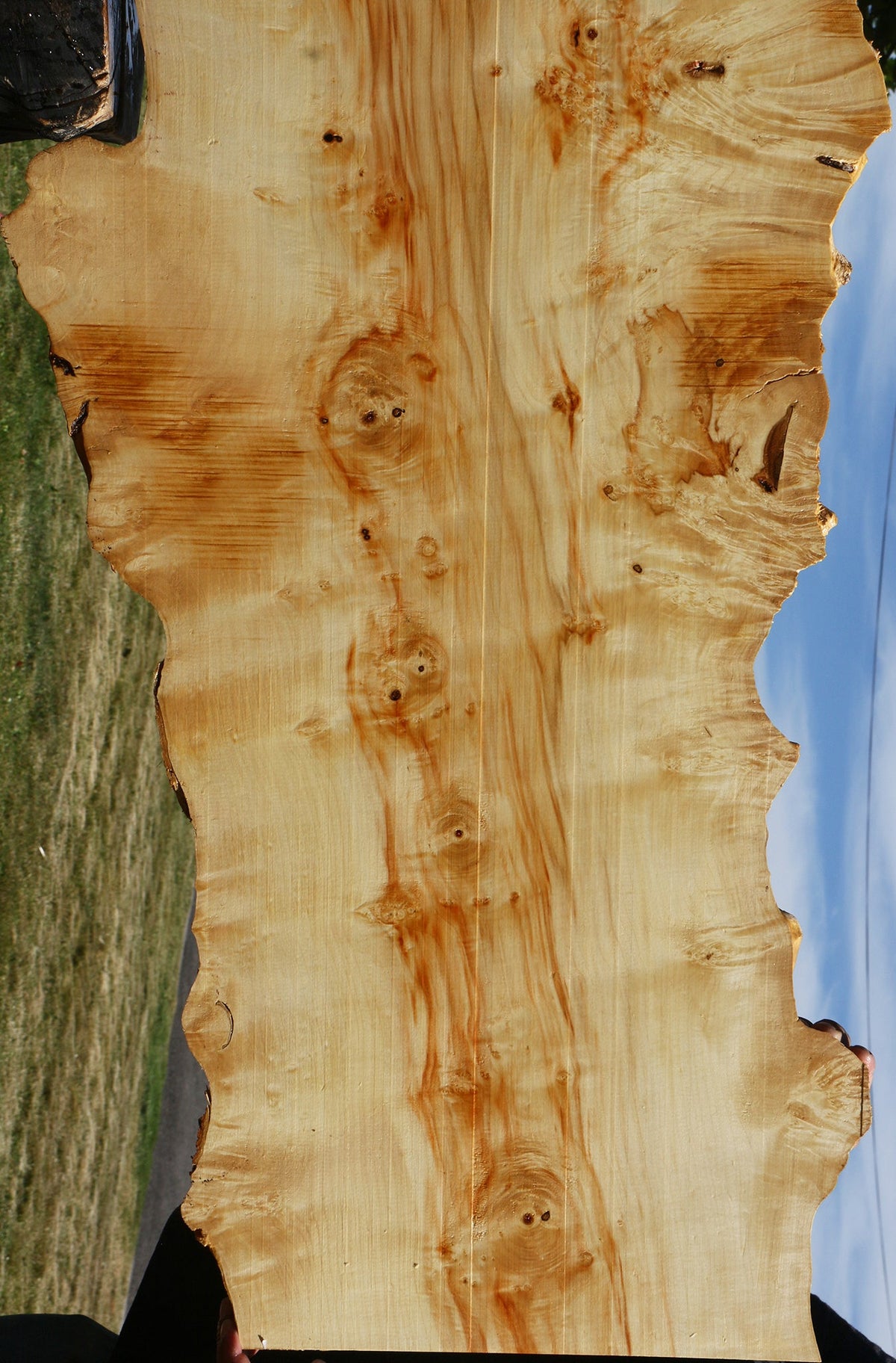 Extra Fancy Box Elder Live Edge Lumber (Free Shipping Excluded)