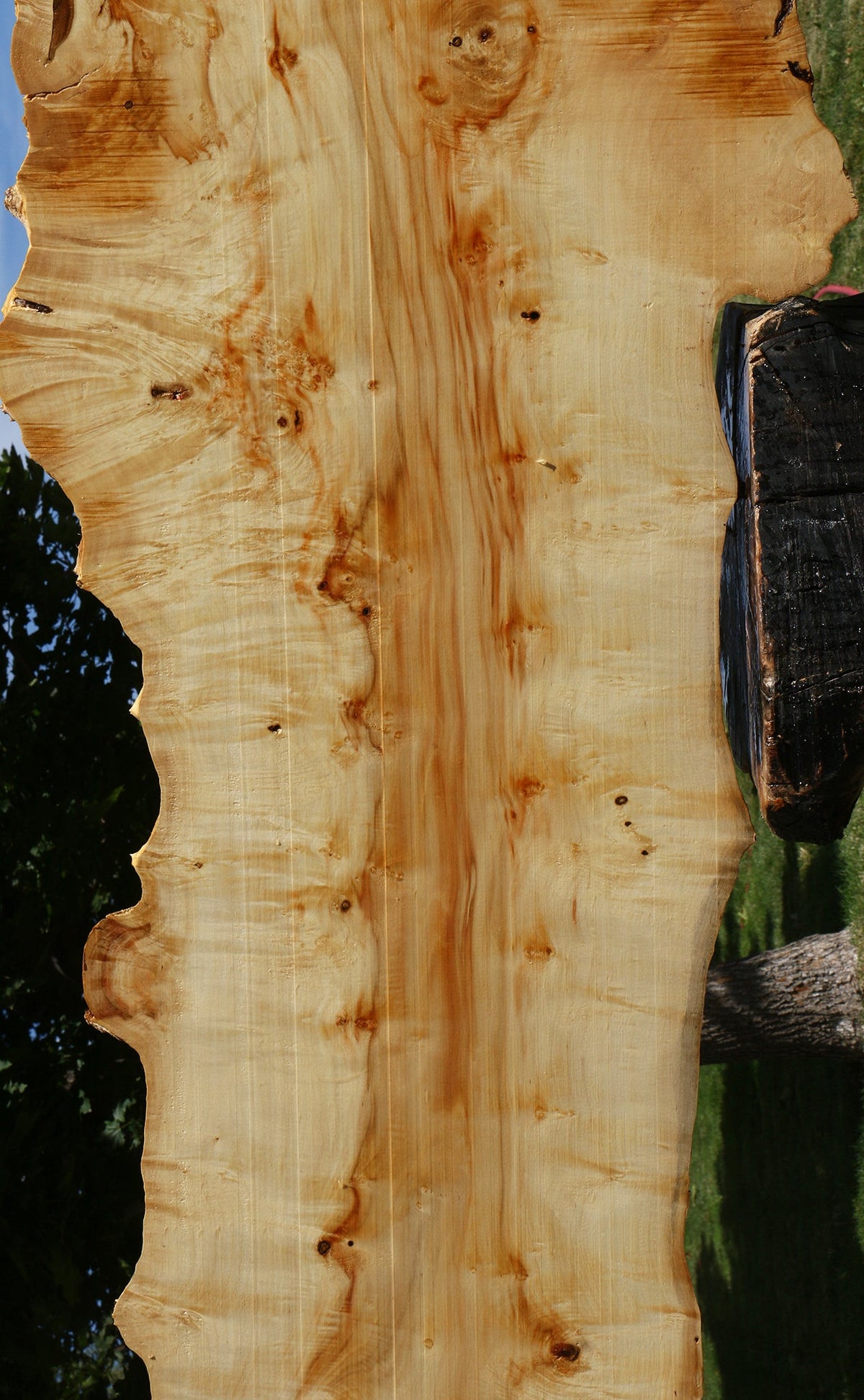 Extra Fancy Box Elder Live Edge Lumber (Free Shipping Excluded)
