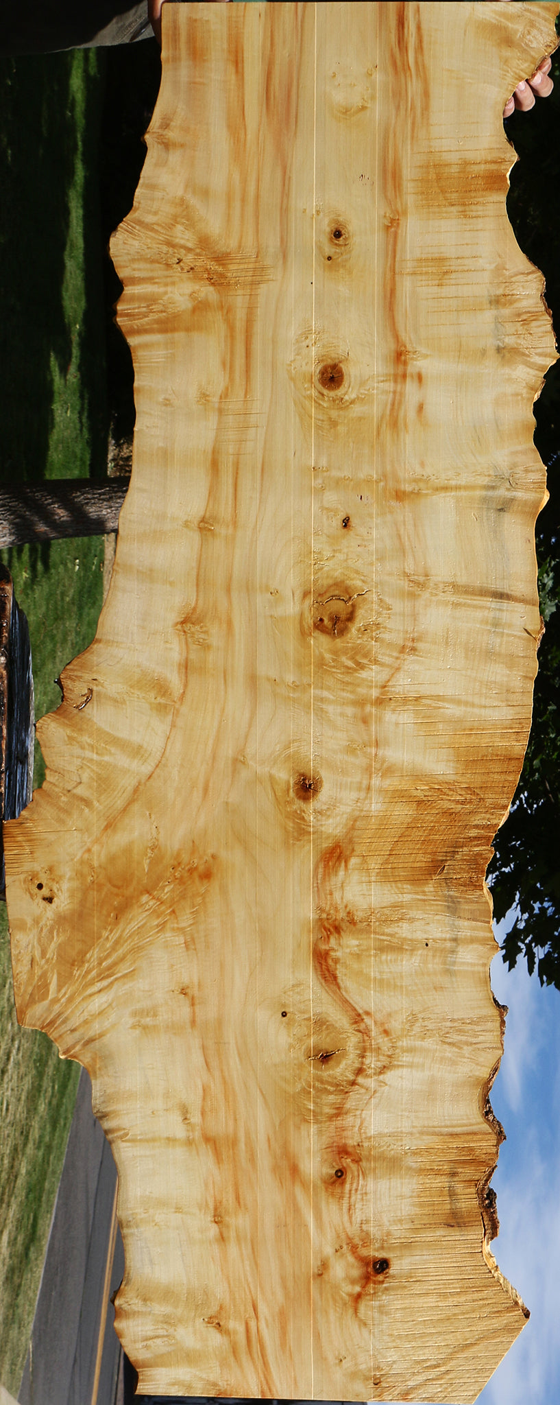 Extra Fancy Box Elder Live Edge Lumber (Free Shipping Excluded)