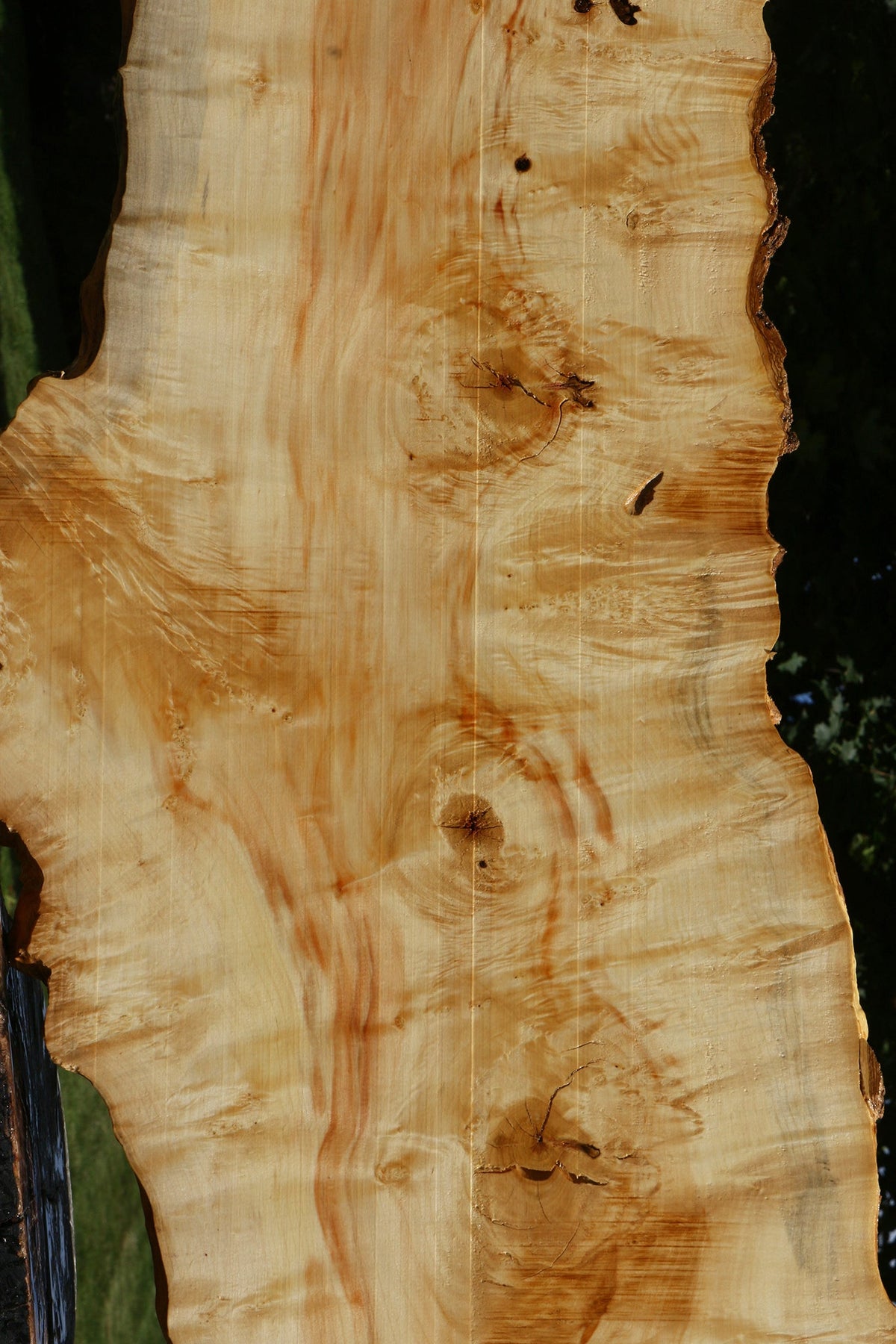 Extra Fancy Box Elder Live Edge Lumber (Free Shipping Excluded)