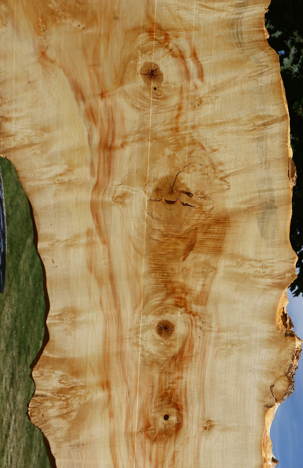 Extra Fancy Box Elder Live Edge Lumber (Free Shipping Excluded)