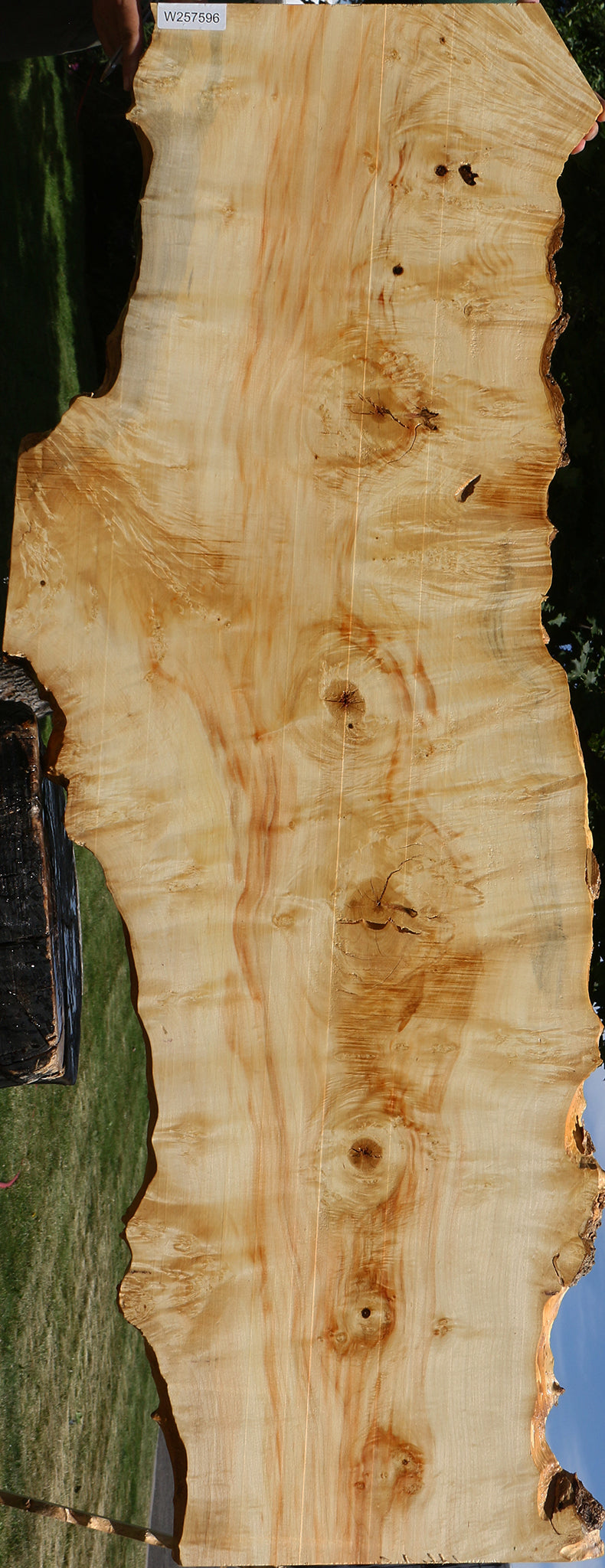 Extra Fancy Box Elder Live Edge Lumber (Free Shipping Excluded)