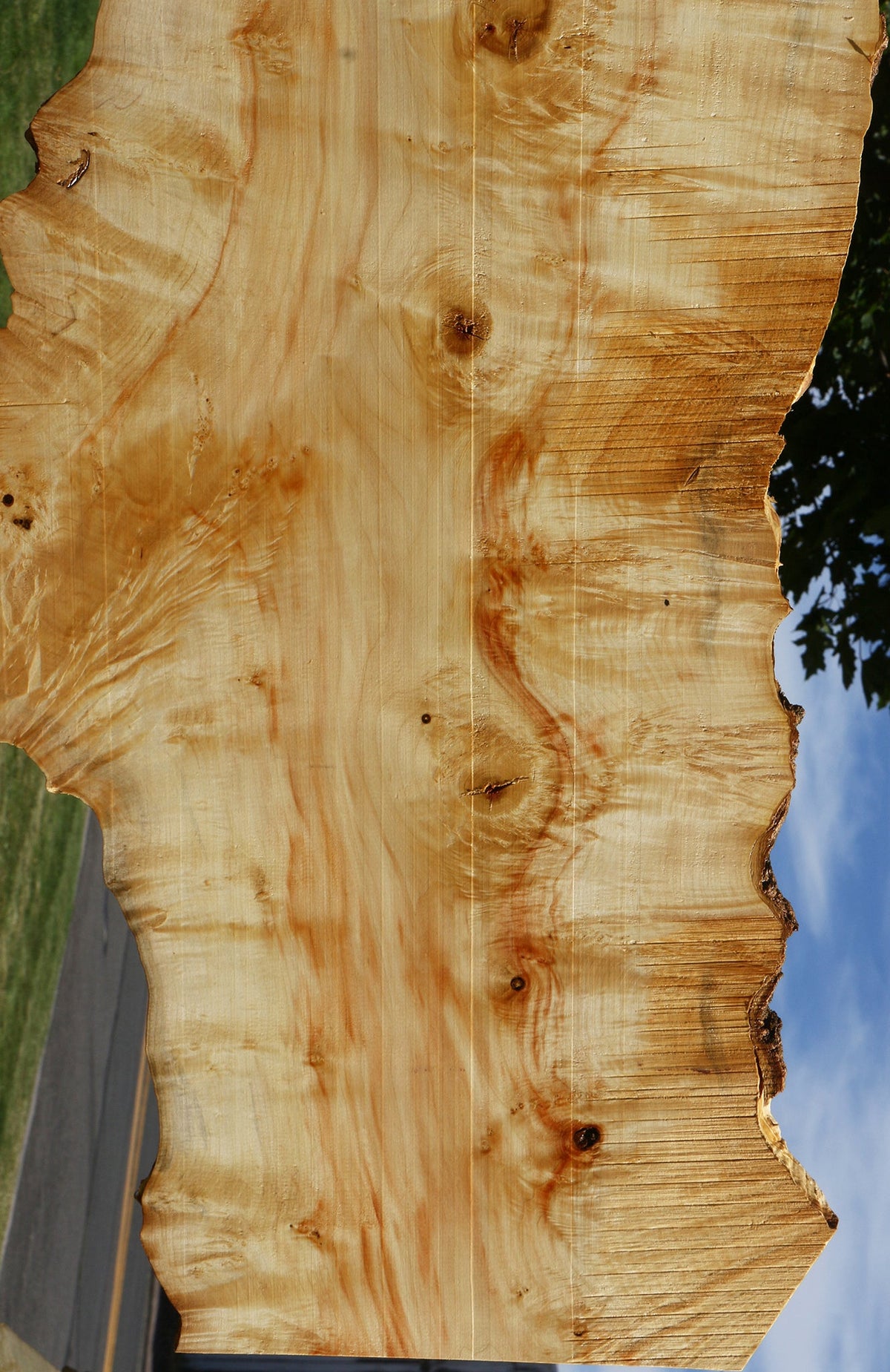Extra Fancy Box Elder Live Edge Lumber (Free Shipping Excluded)