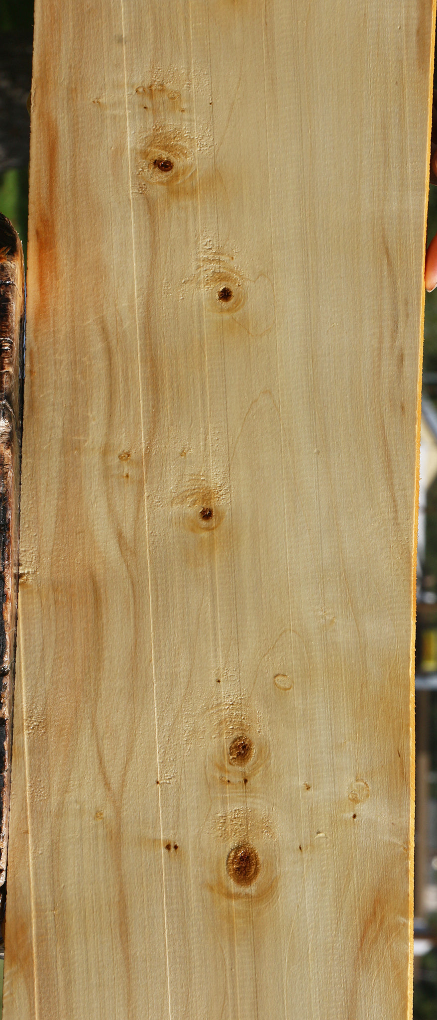 Box Elder Lumber
