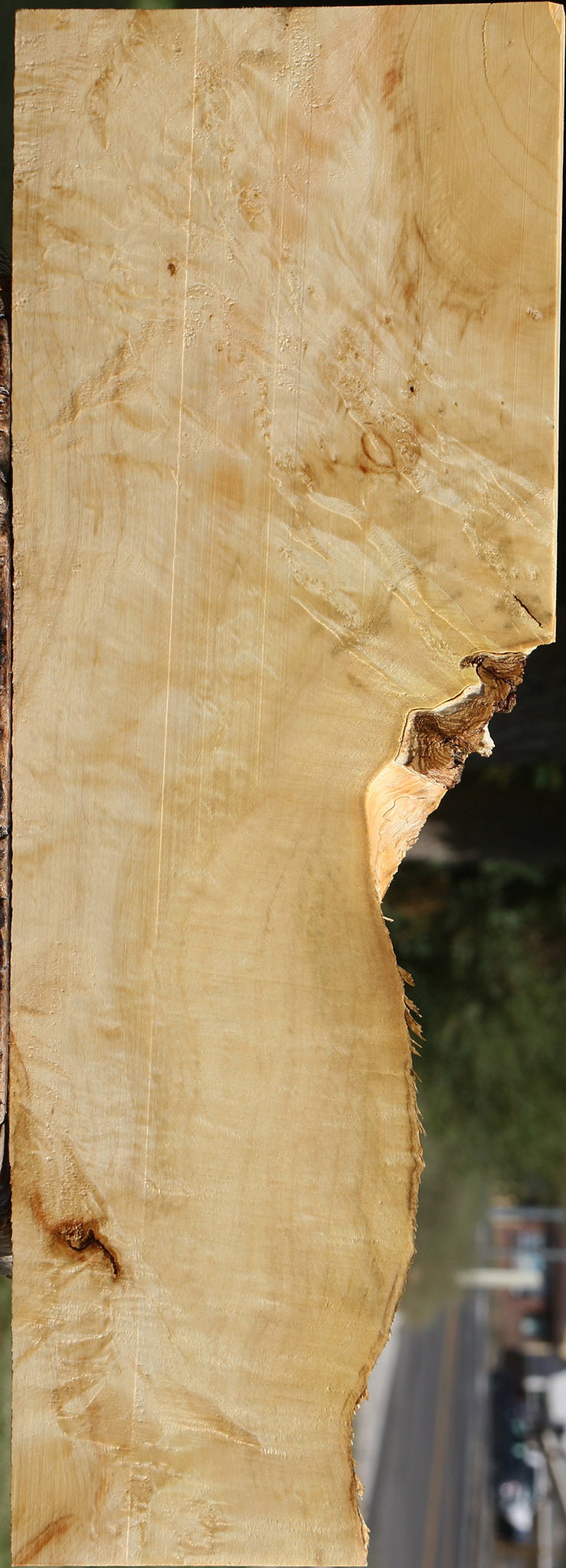 Extra Fancy Box Elder Lumber