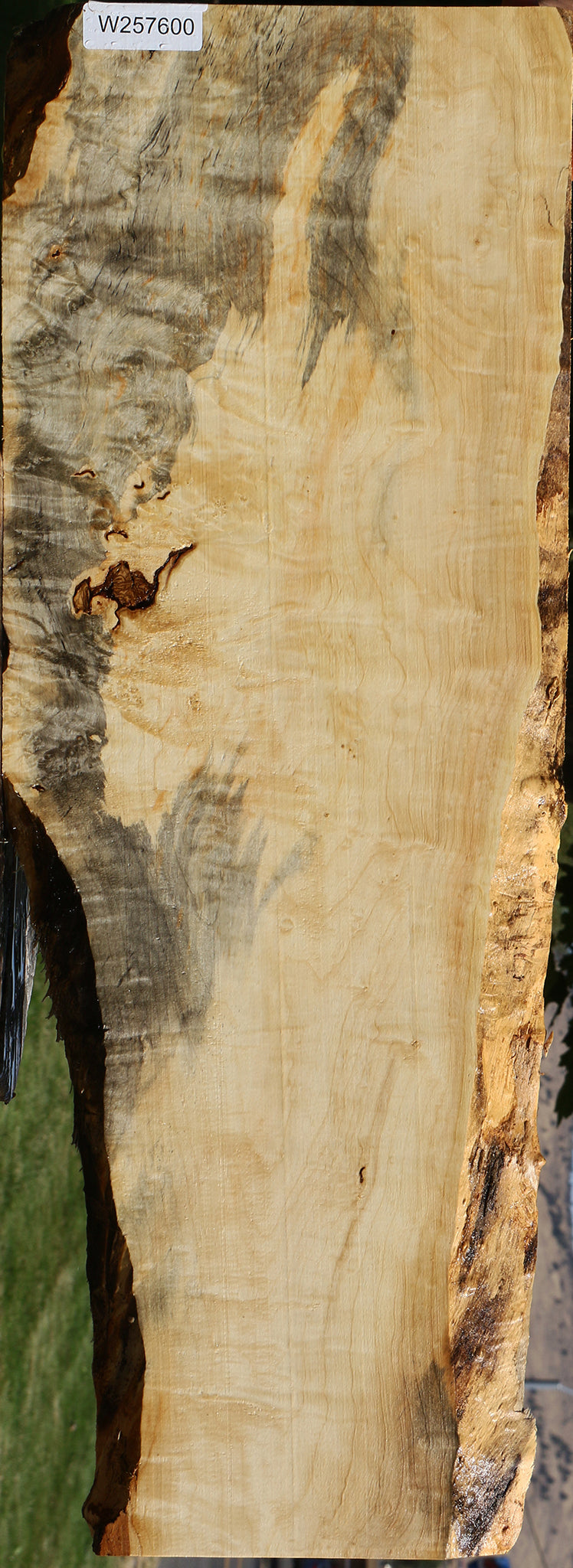 Extra Fancy Box Elder Lumber