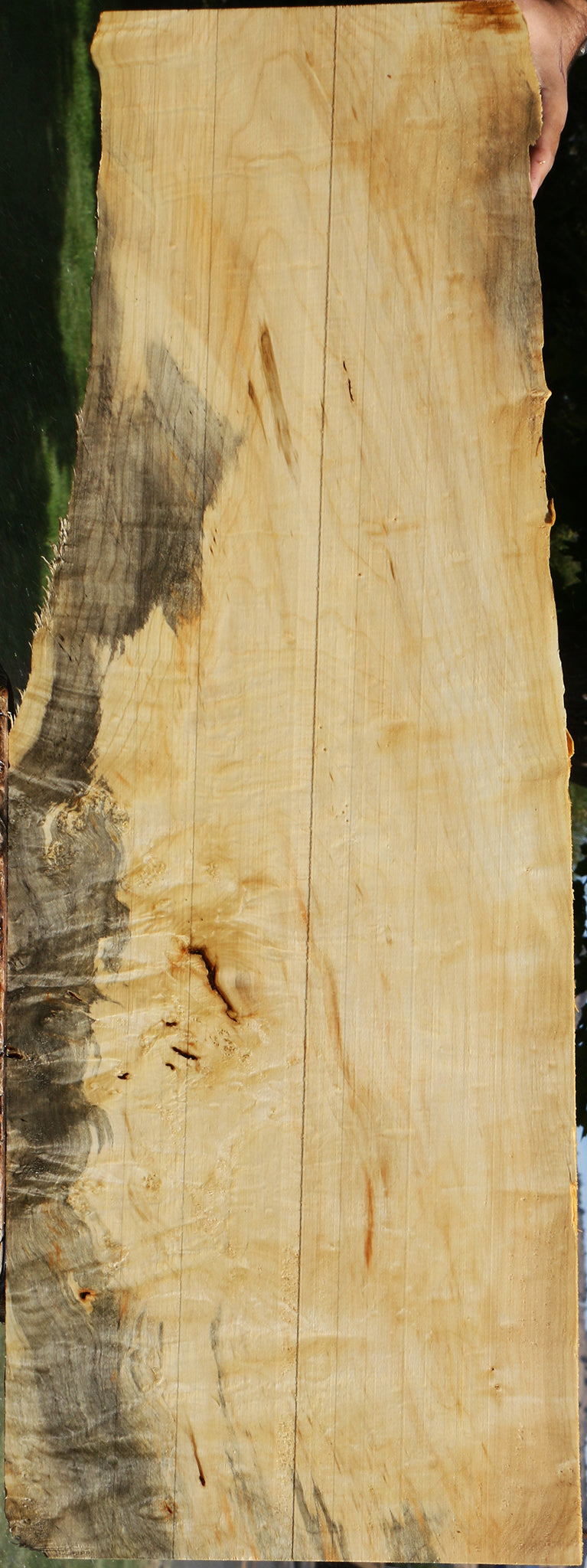 Extra Fancy Box Elder Lumber
