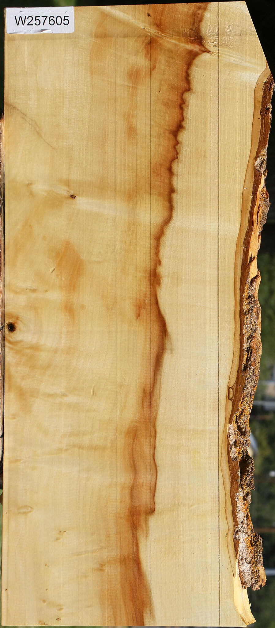 Figured Box Elder Live Edge Lumber