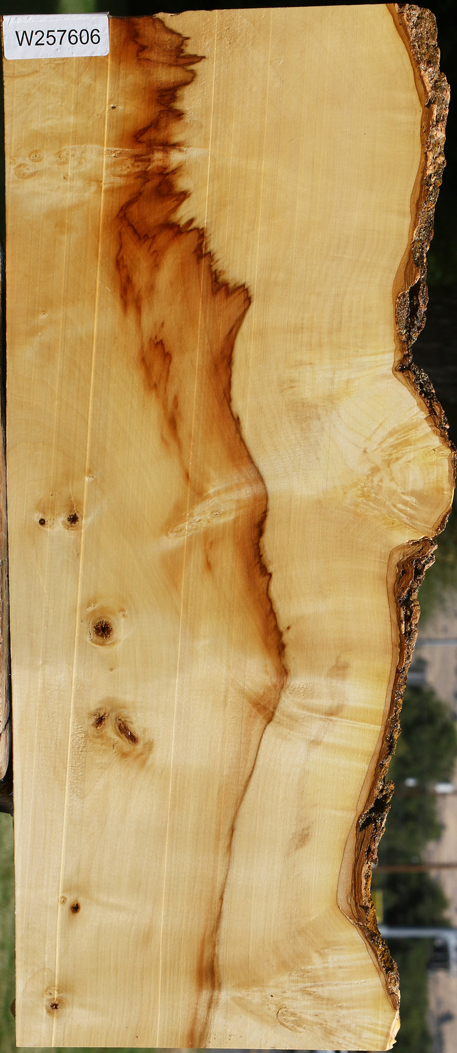 Figured Box Elder Live Edge Lumber