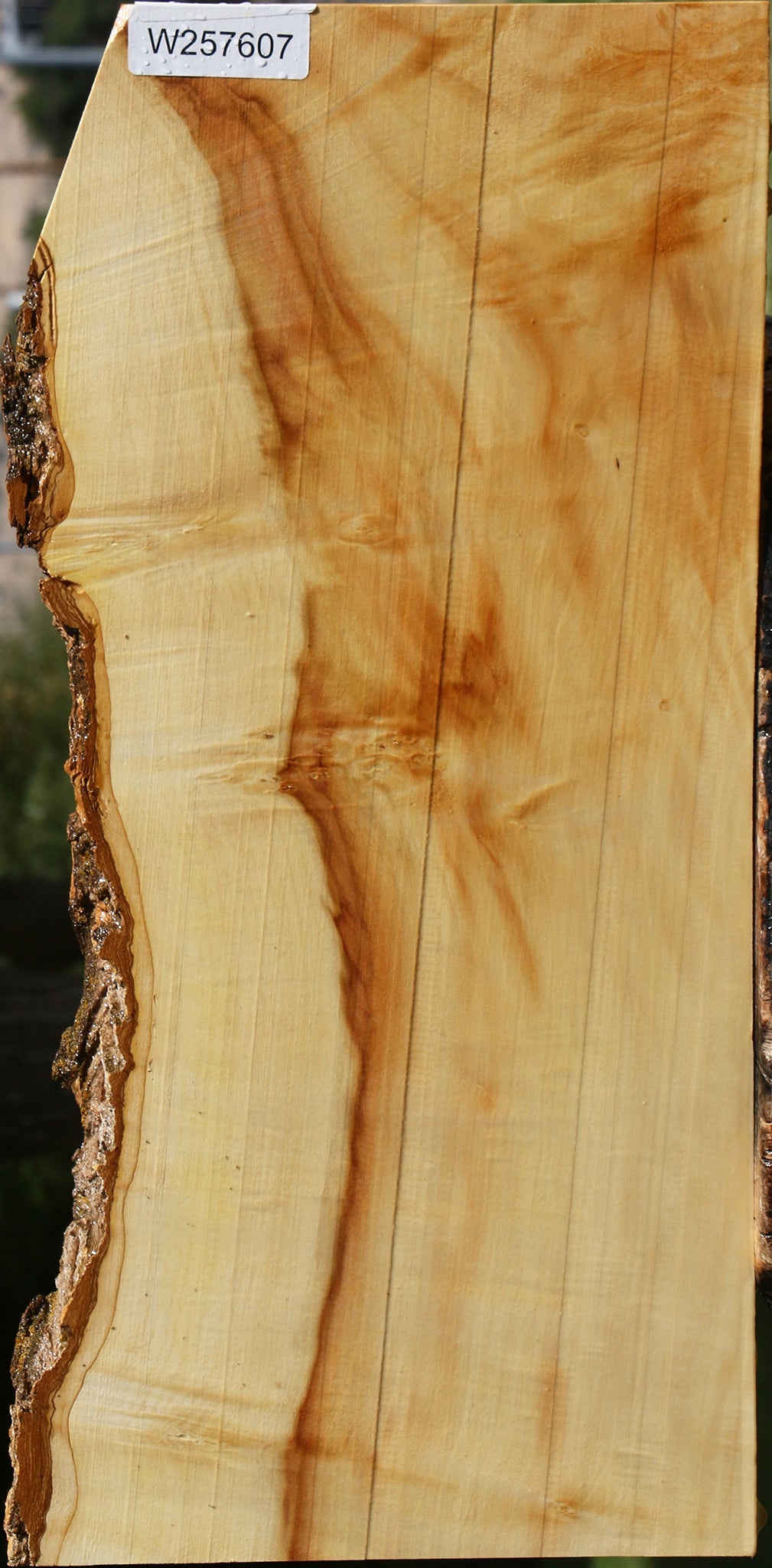 Figured Box Elder Live Edge Lumber