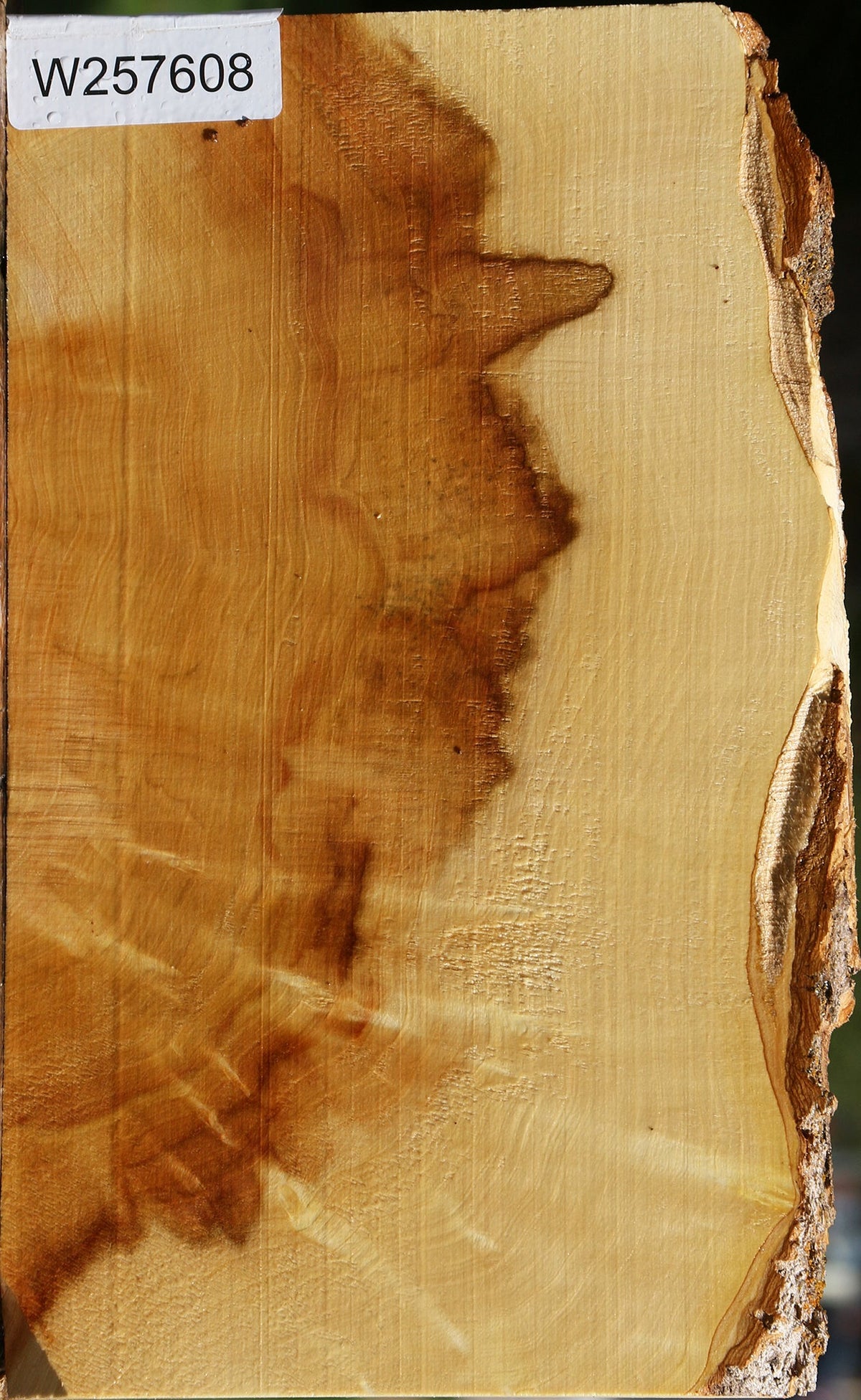 Figured Box Elder Live Edge Lumber