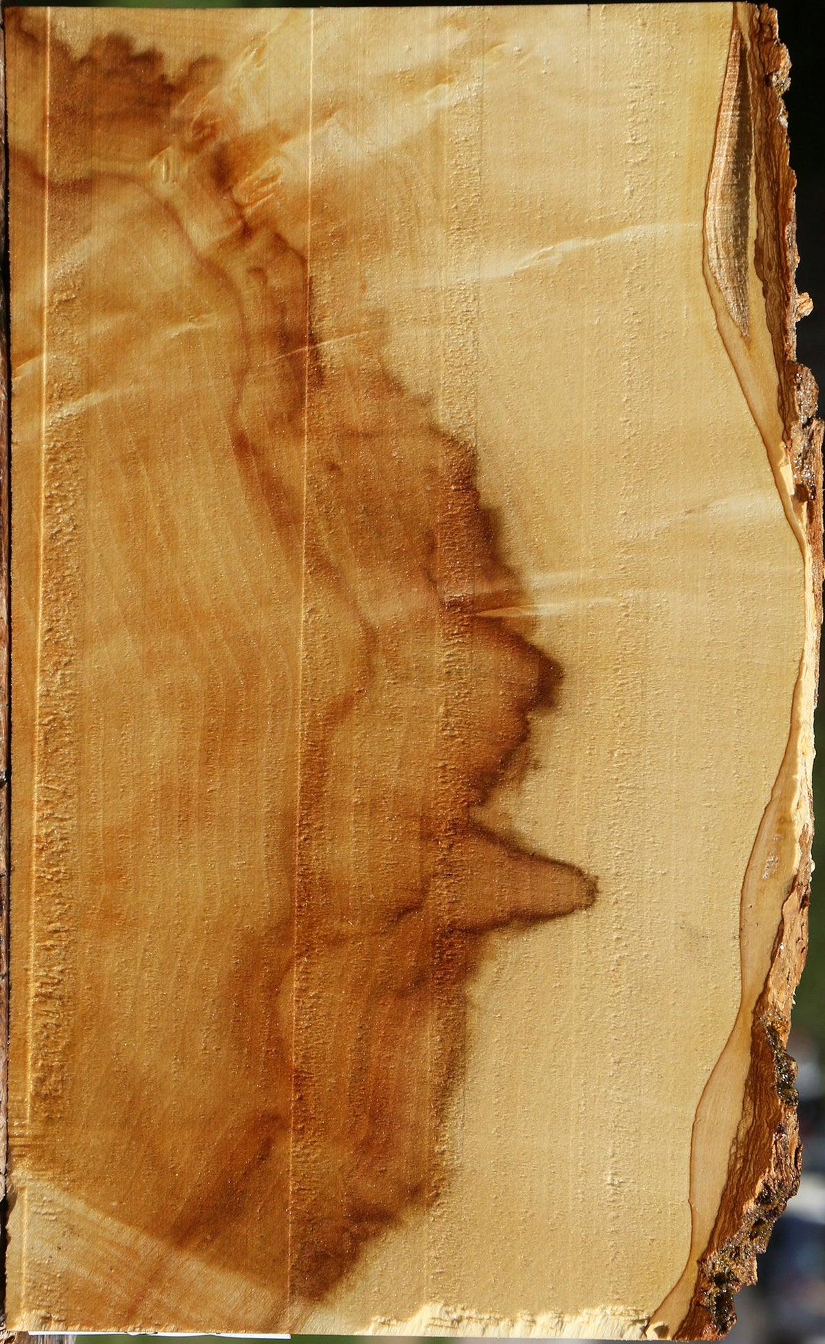 Figured Box Elder Live Edge Lumber