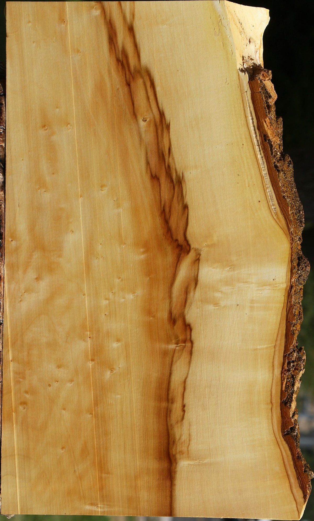 Box Elder Live Edge Lumber