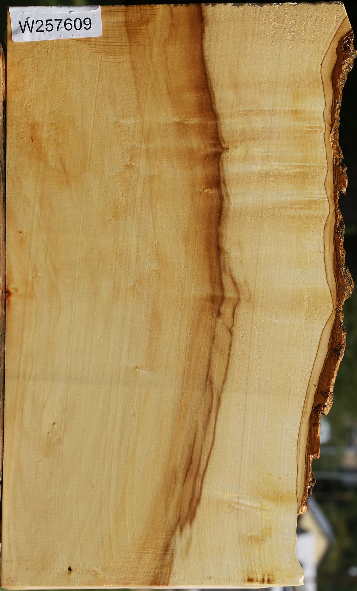 Box Elder Live Edge Lumber