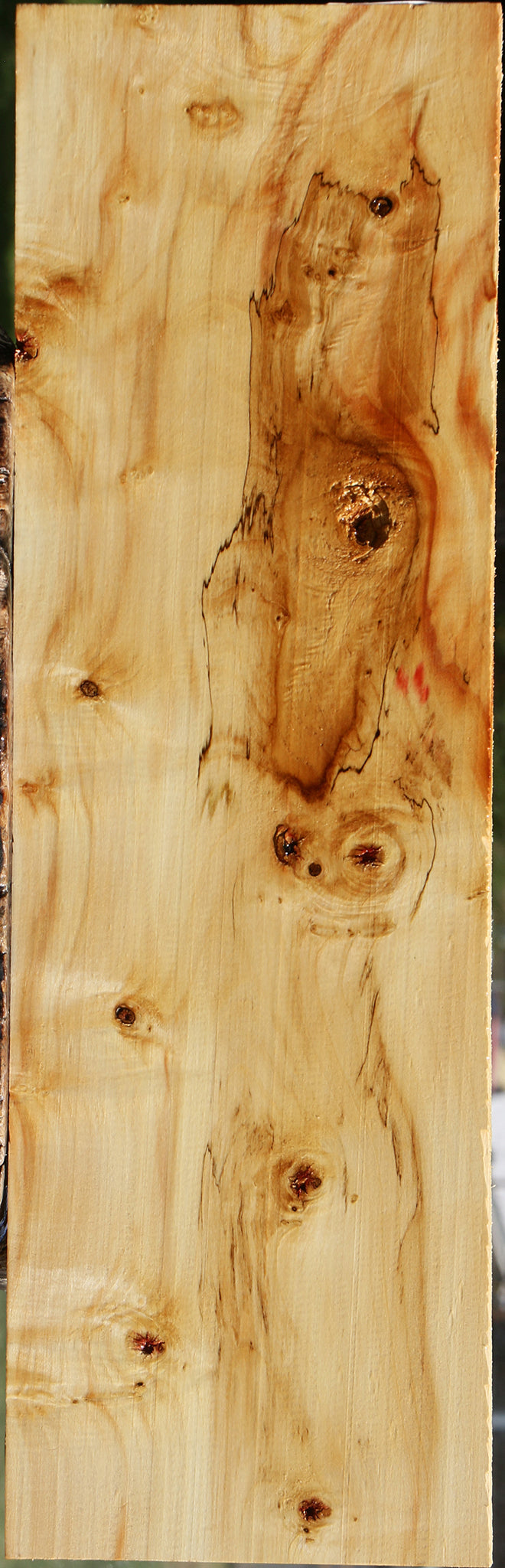 Figured Box Elder Lumber