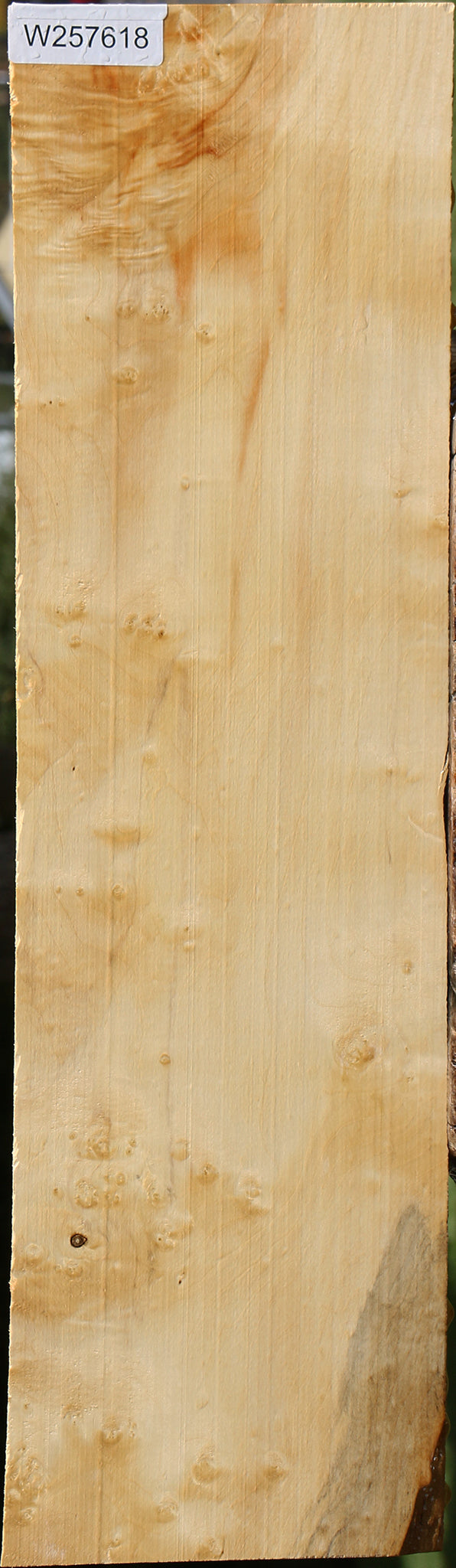 Figured Box Elder Lumber