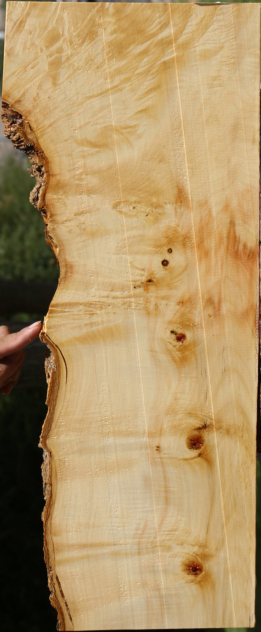 Extra Fancy Box Elder Live Edge Lumber