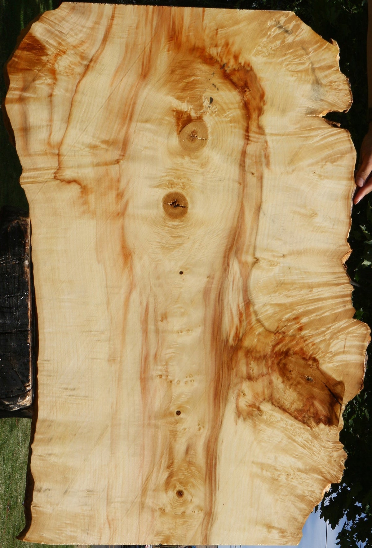 Extra Fancy Box Elder Live Edge Lumber