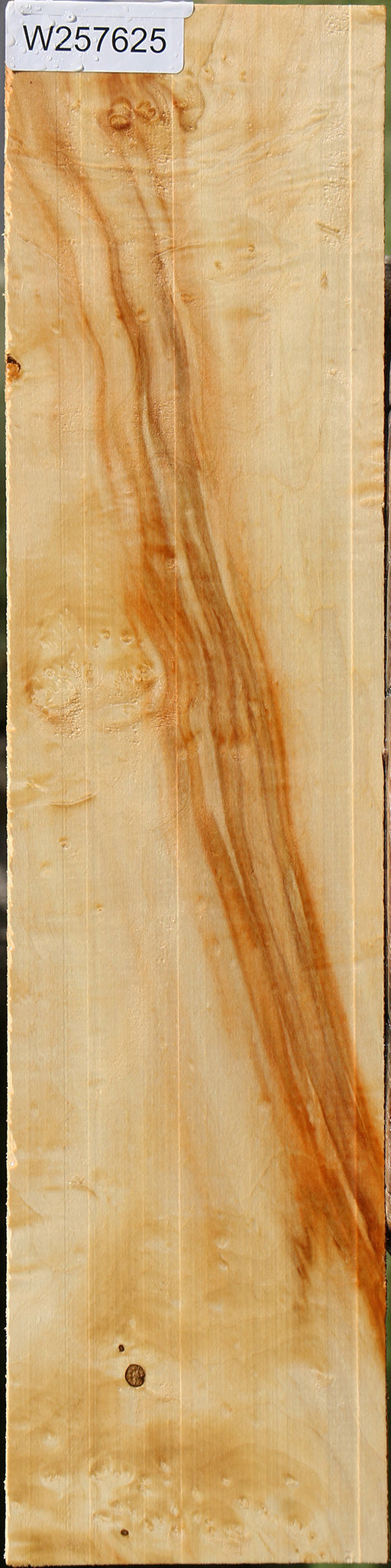 Extra Fancy Box Elder Lumber