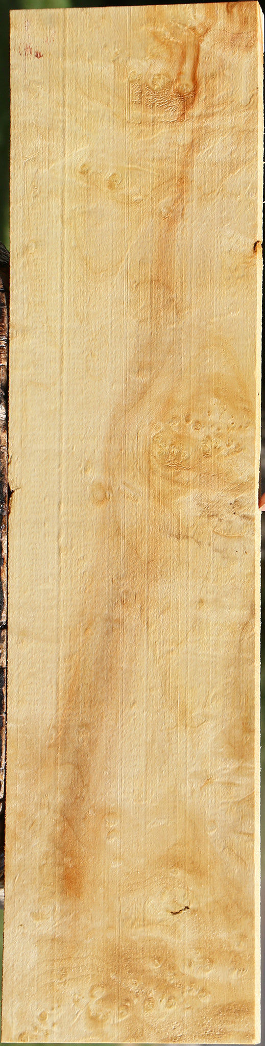 Extra Fancy Box Elder Lumber