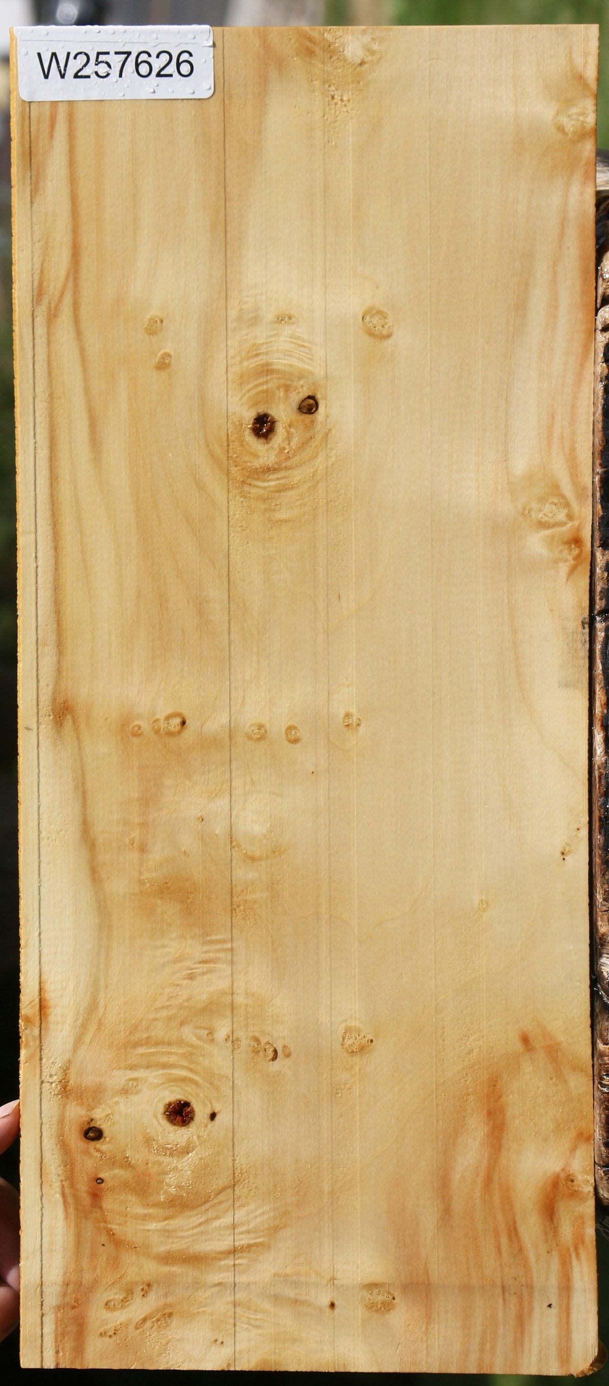 Box Elder Micro Lumber