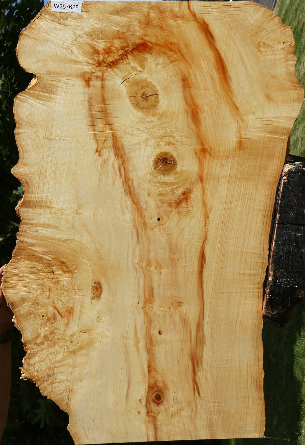 Extra Fancy Box Elder Live Edge Lumber