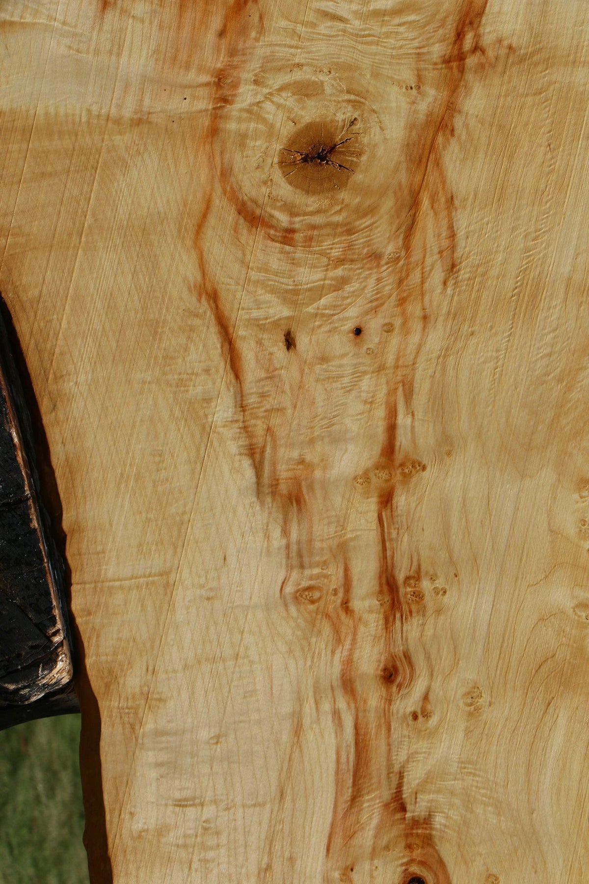 Extra Fancy Box Elder Live Edge Lumber