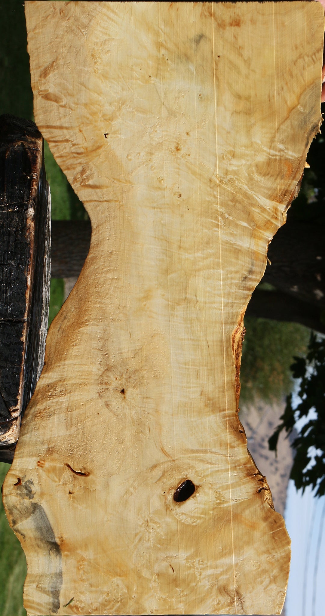 Extra Fancy Box Elder Live Edge Lumber