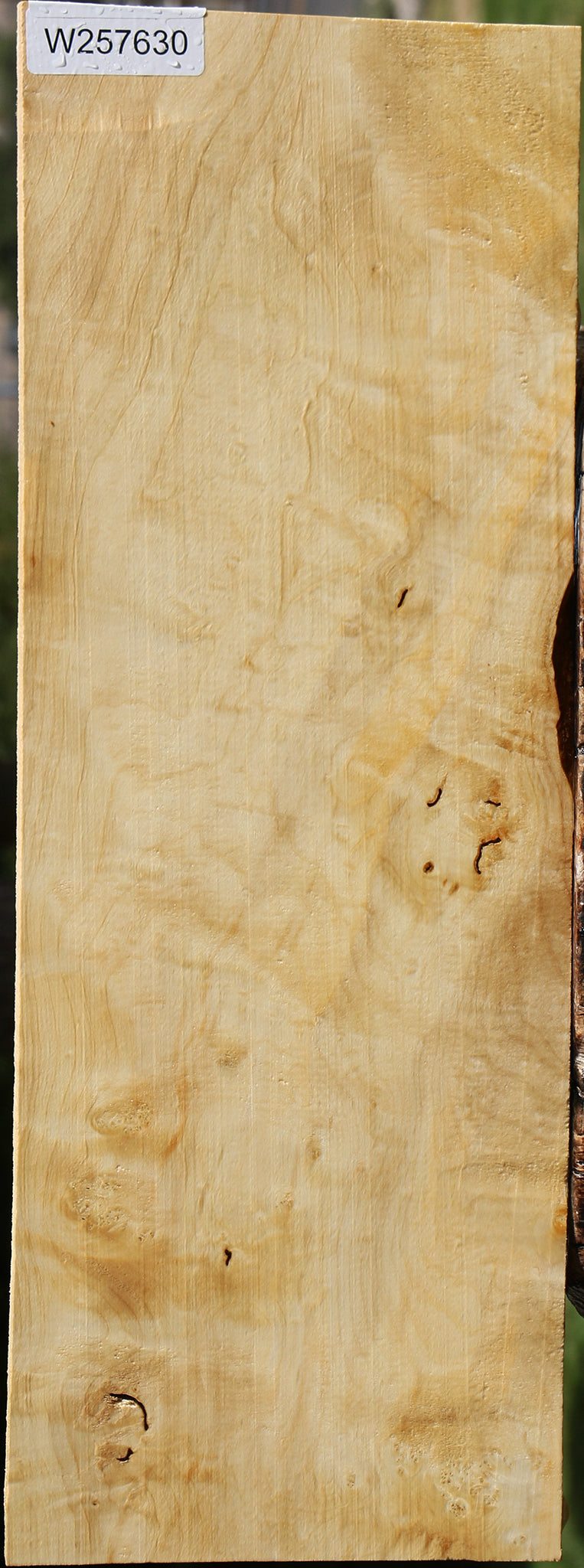 Figured Box Elder Lumber