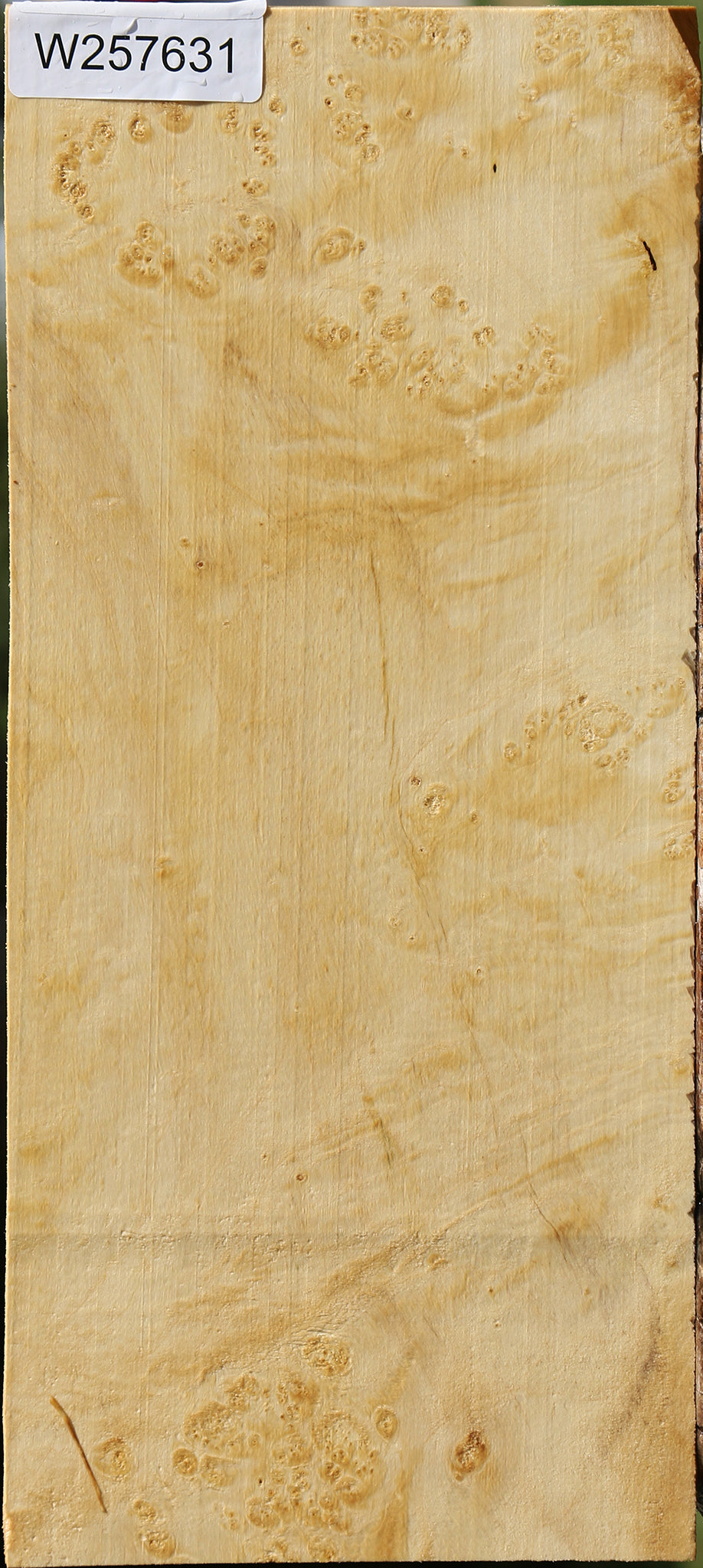 Box Elder Burl Lumber