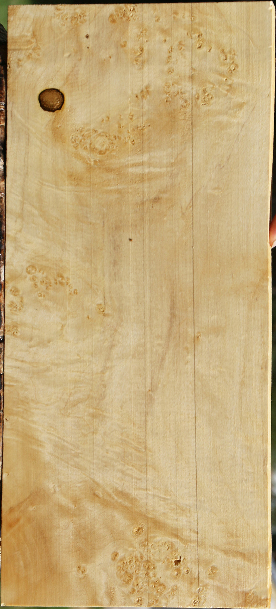 Box Elder Burl Lumber