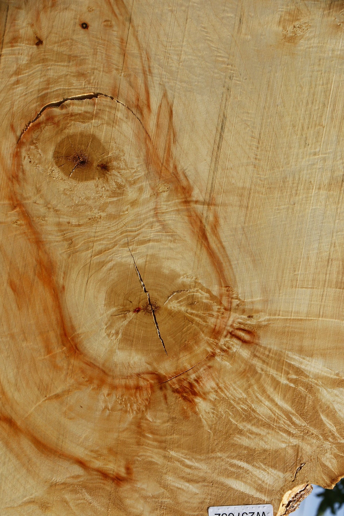 Extra Fancy Rustic Box Elder Live Edge Lumber