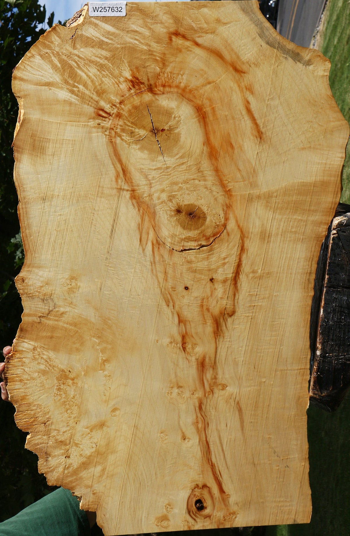 Extra Fancy Rustic Box Elder Live Edge Lumber
