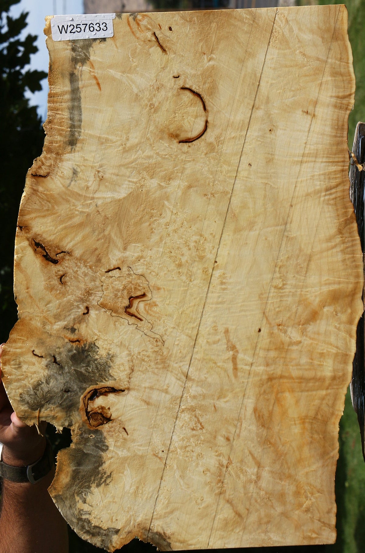 Extra Fancy Box Elder Live Edge Lumber