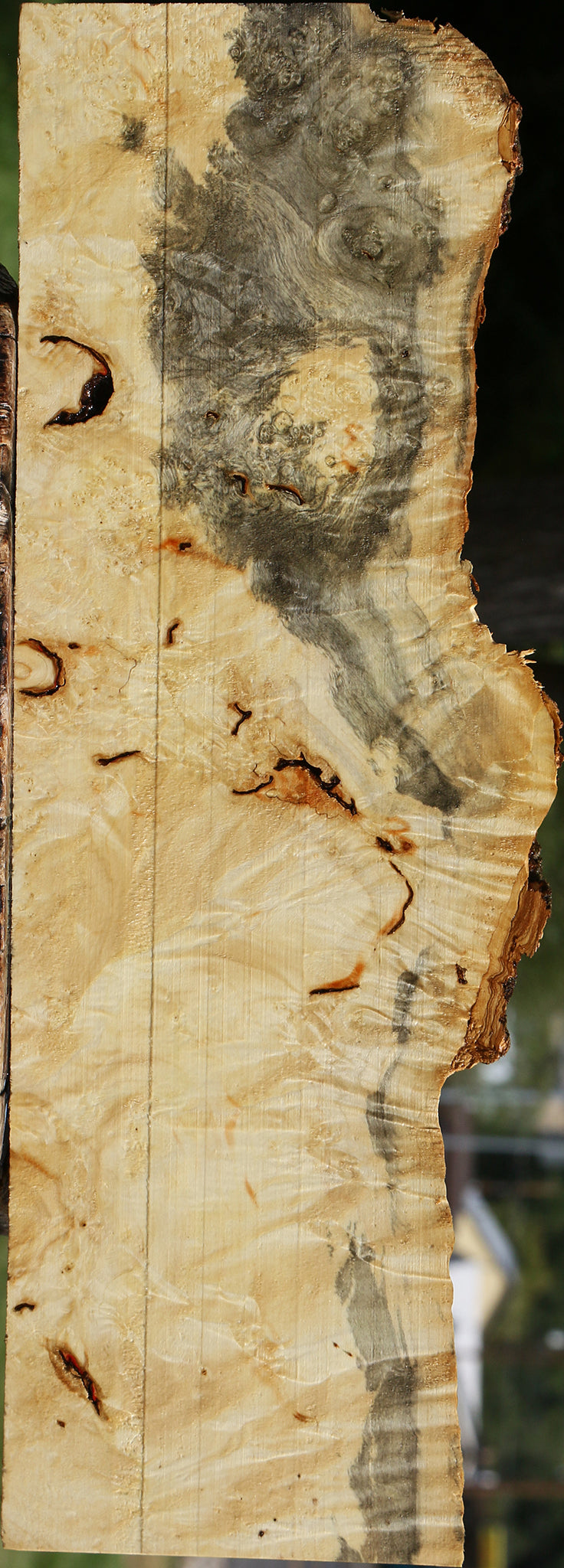 Rustic Box Elder Burl Live Edge Lumber