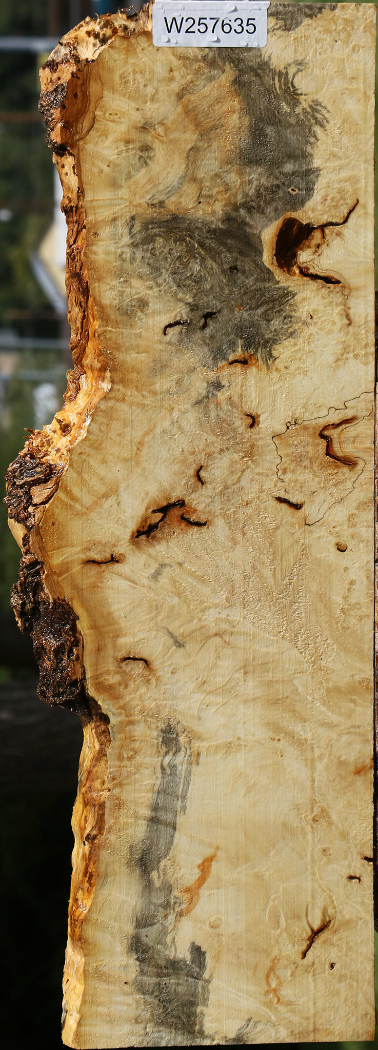 Rustic Box Elder Burl Live Edge Lumber