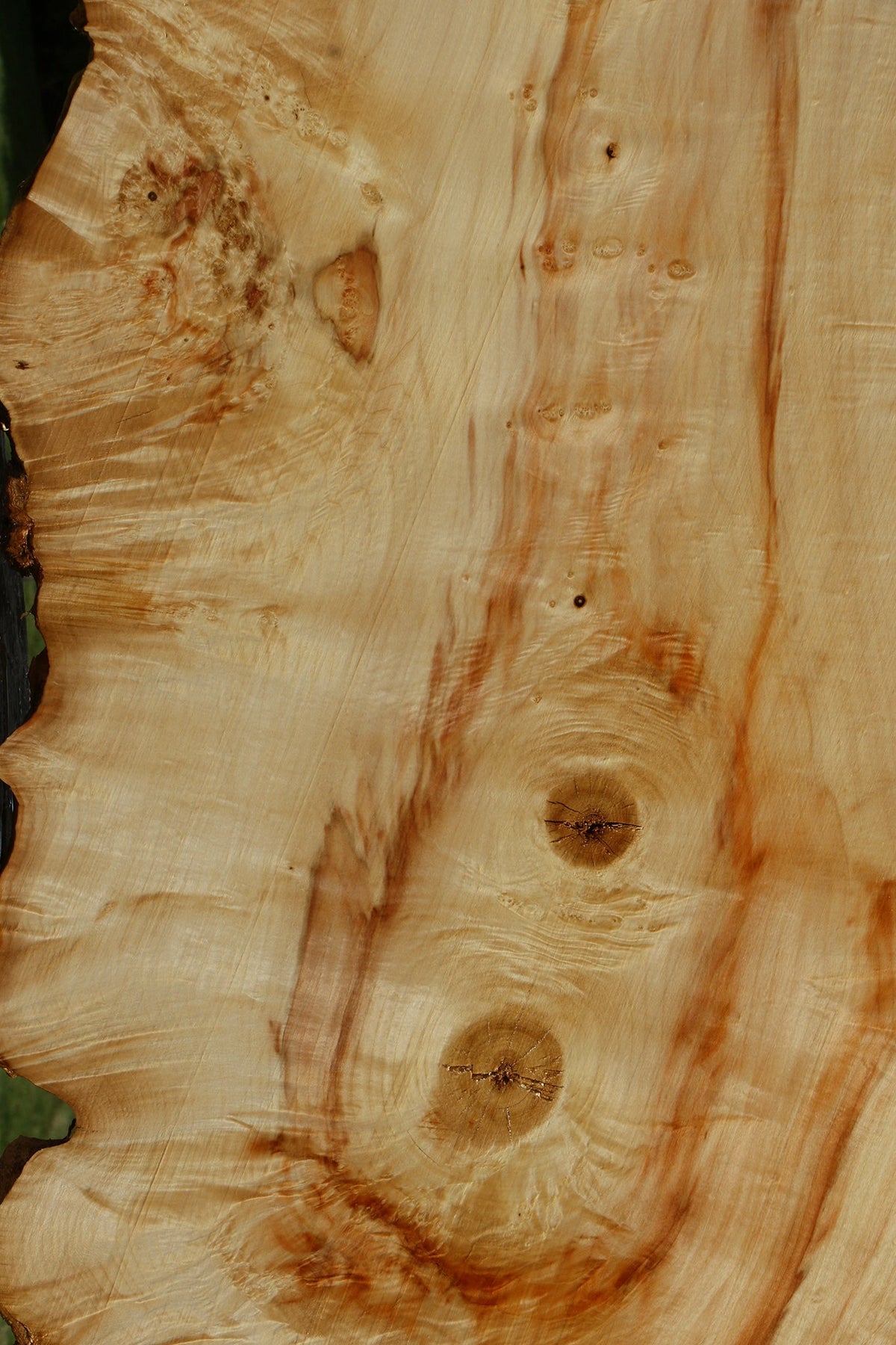 Extra Fancy Box Elder Live Edge Lumber