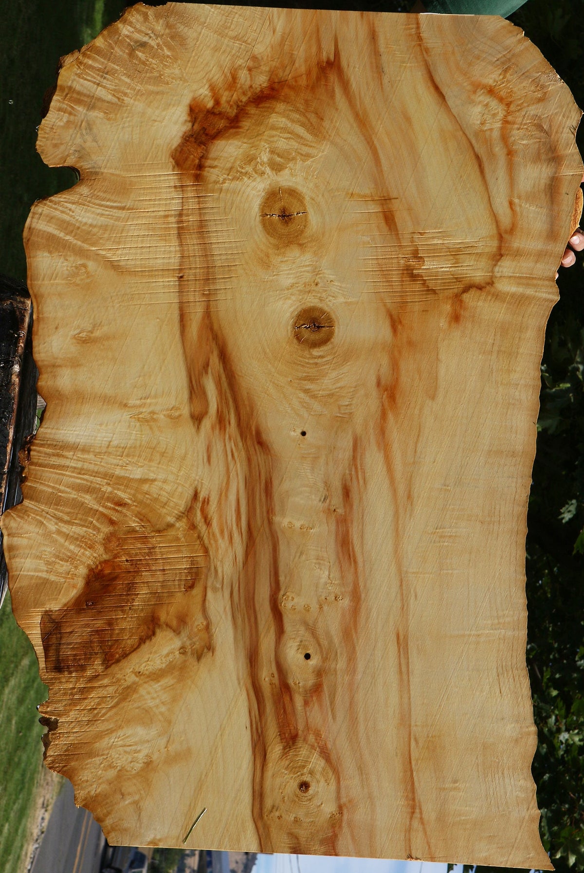 Extra Fancy Box Elder Live Edge Lumber