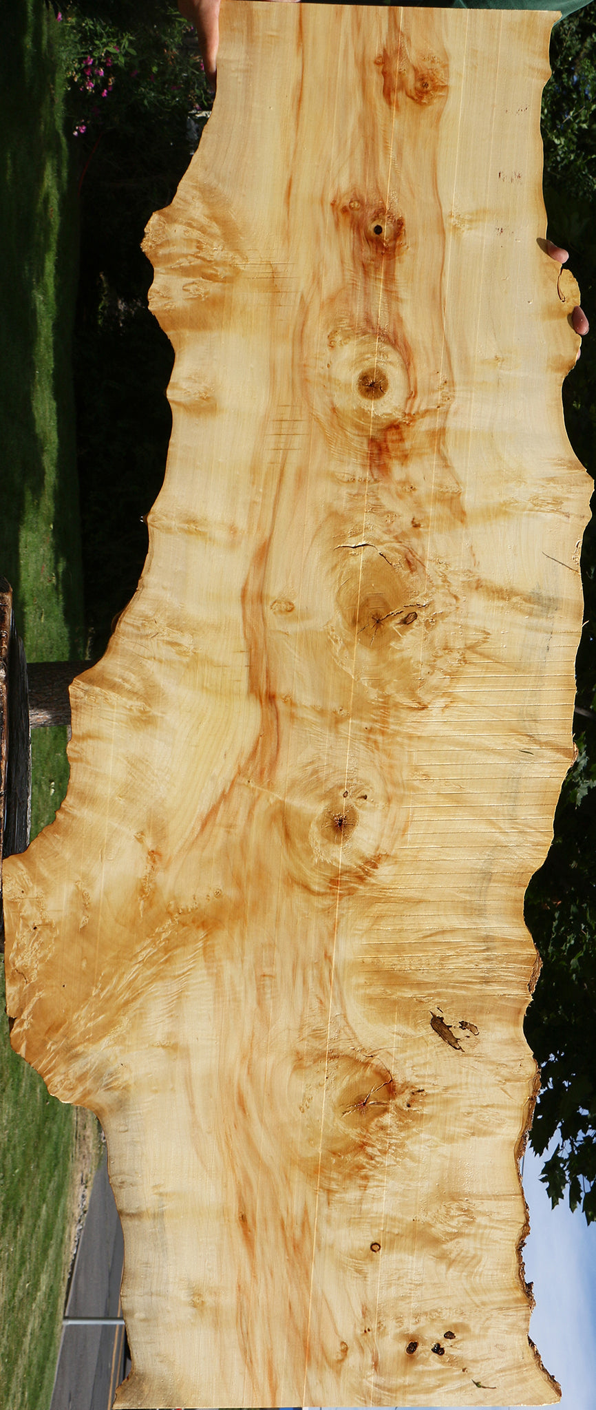 Extra Fancy Box Elder Live Edge Lumber