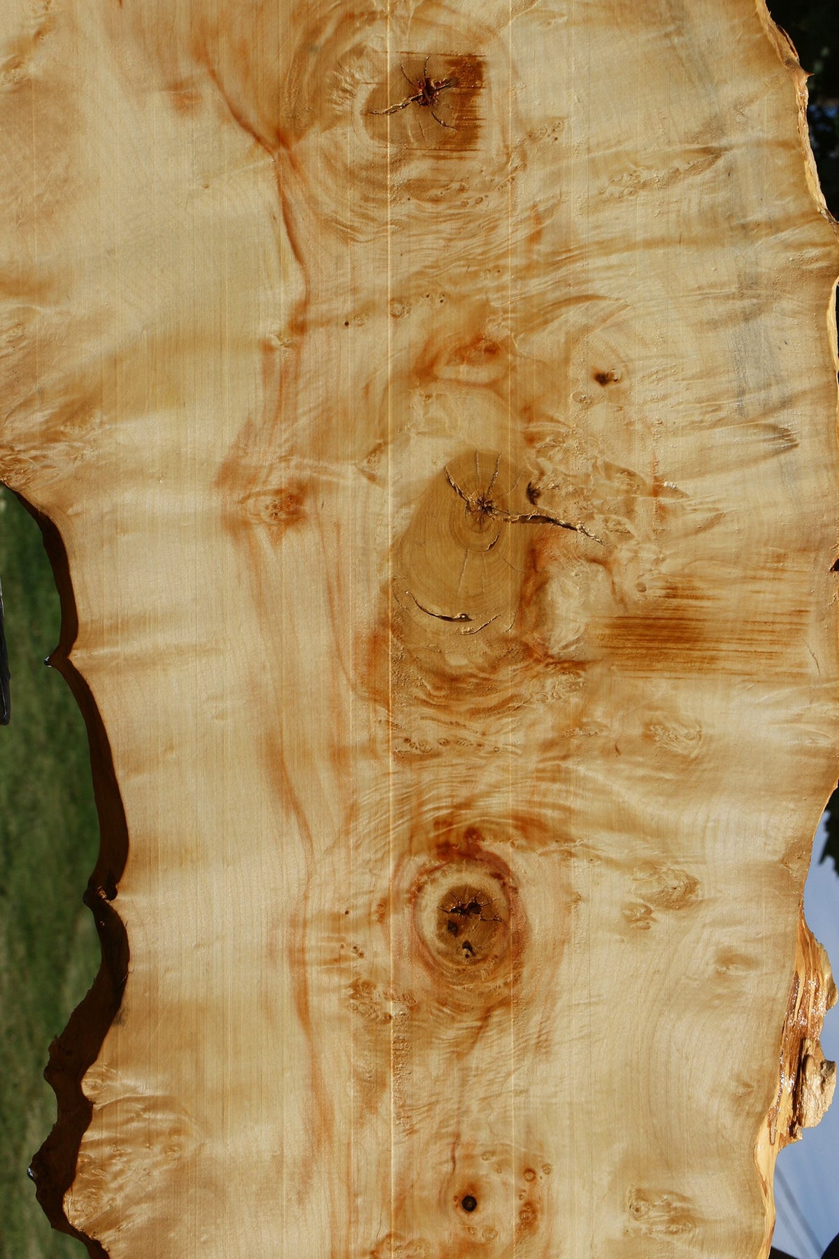 Extra Fancy Box Elder Live Edge Lumber