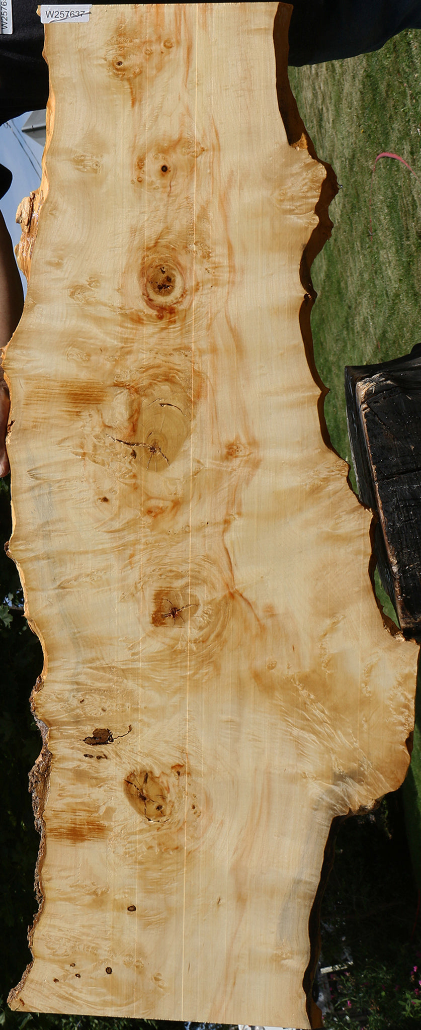 Extra Fancy Box Elder Live Edge Lumber