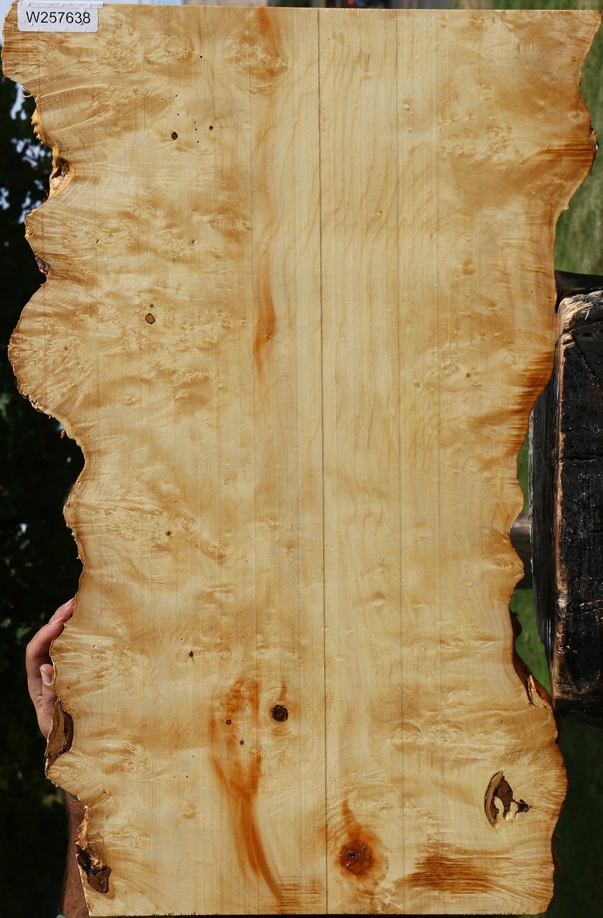 Box Elder Live Edge Lumber