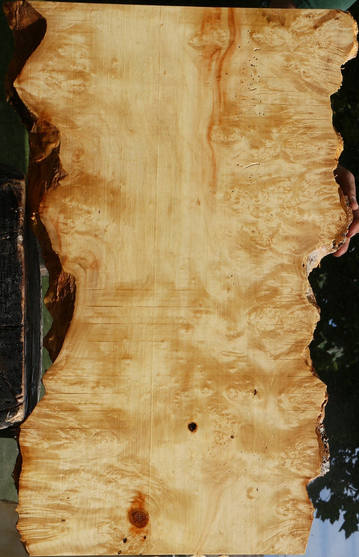 Box Elder Live Edge Lumber