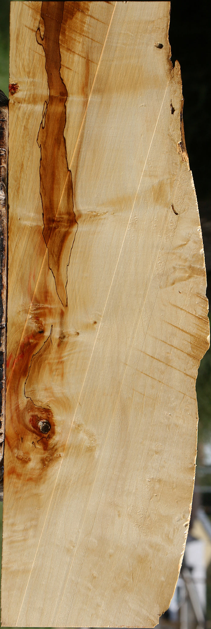 Figured Box Elder Live Edge Lumber