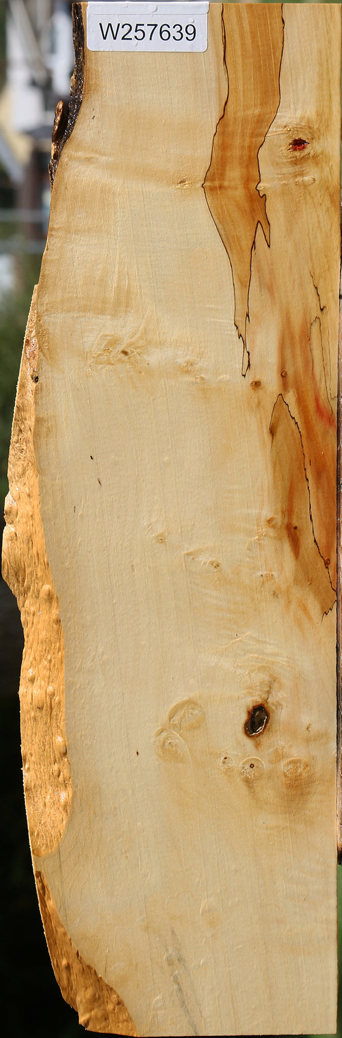 Figured Box Elder Live Edge Lumber