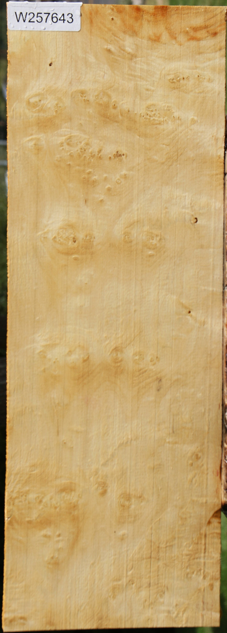 Box Elder Burl Lumber