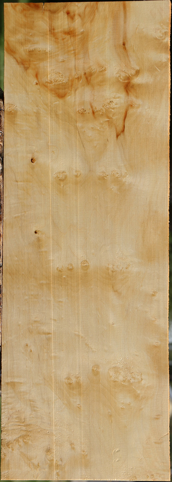 Box Elder Burl Lumber