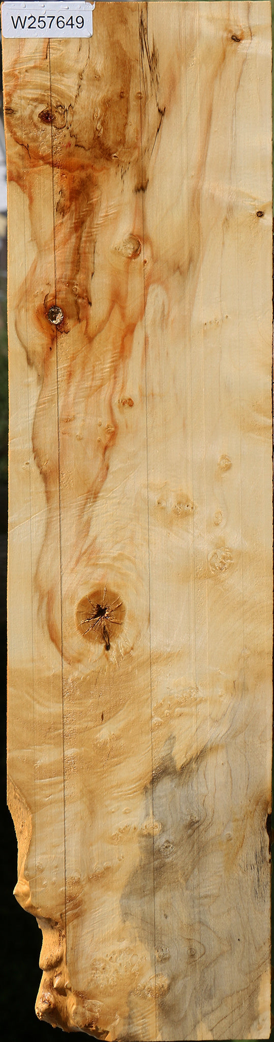 Extra Fancy Box Elder Lumber