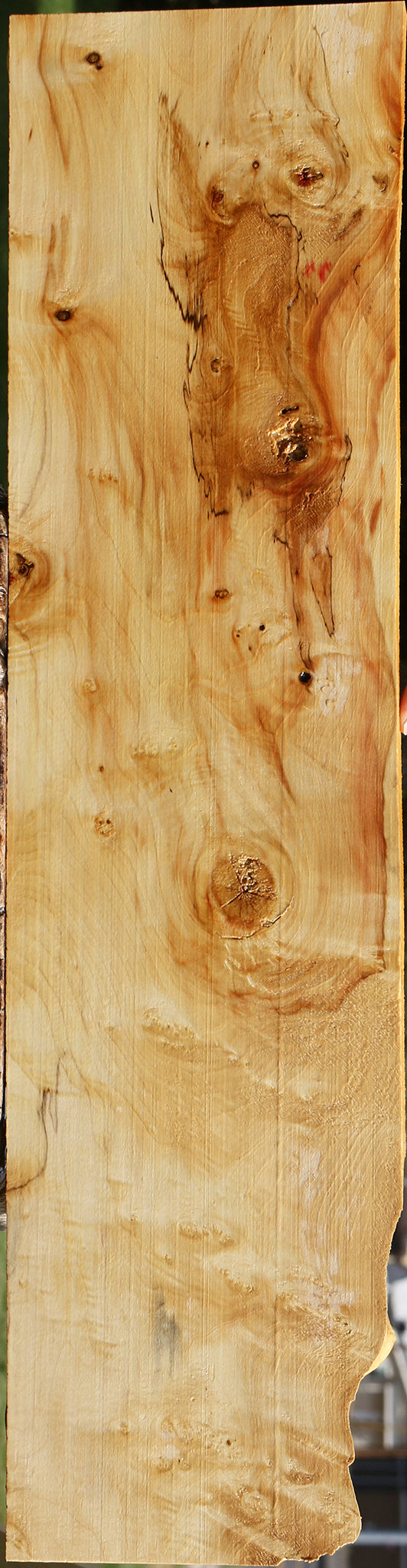 Extra Fancy Box Elder Lumber