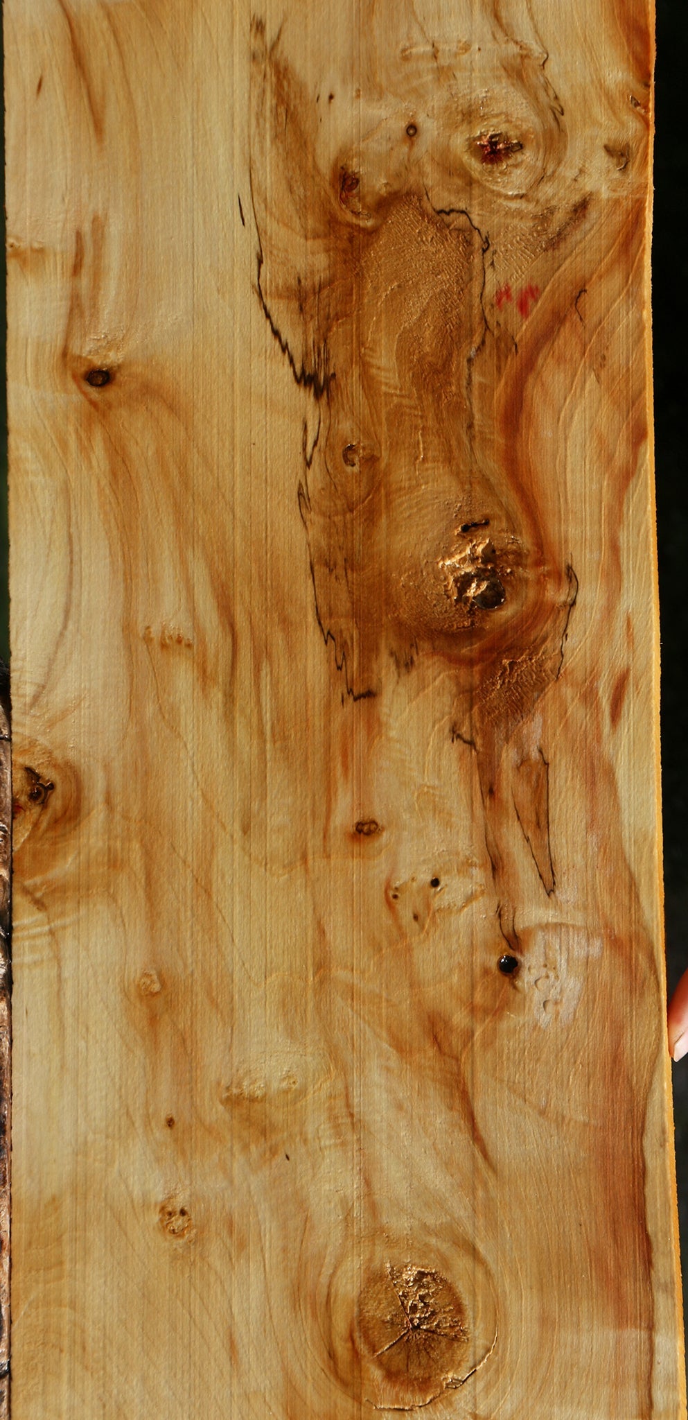 Extra Fancy Box Elder Lumber
